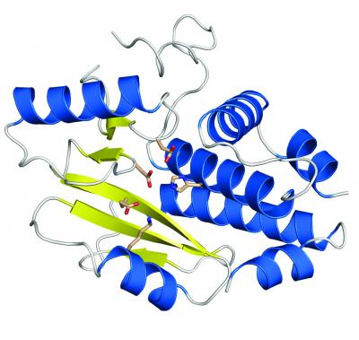 Influenze polymerase subunit